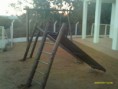 /album/playgrounds-de-eucalipto/imagem-068-jpg/